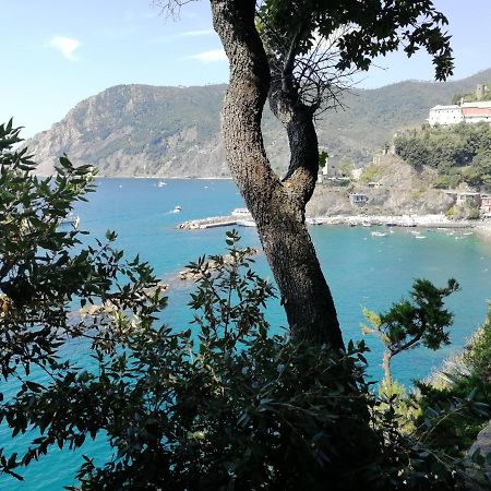 Nel Cuore Di Monterosso Cinque Terre Orto Di Ciack Monterosso al Mare Kültér fotó