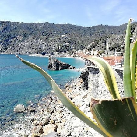 Nel Cuore Di Monterosso Cinque Terre Orto Di Ciack Monterosso al Mare Kültér fotó