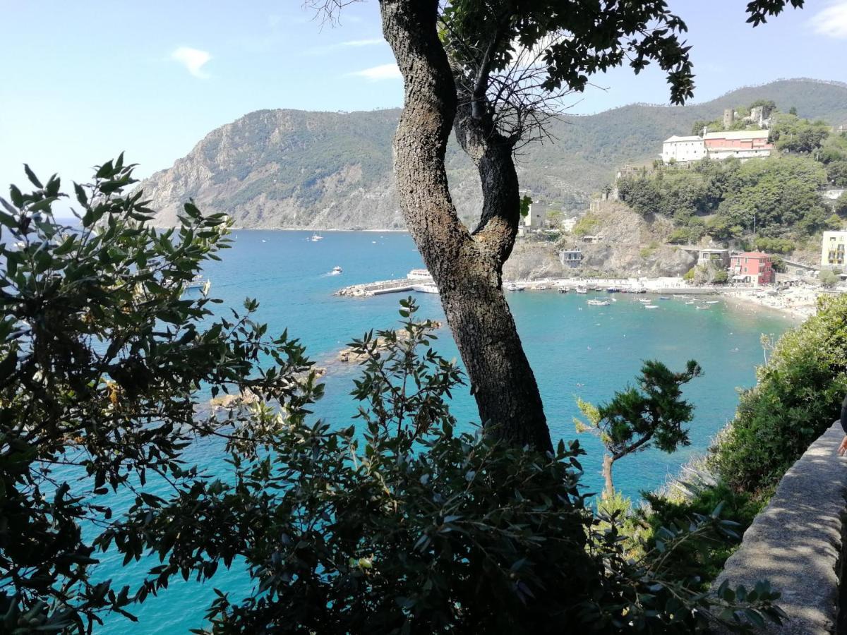Nel Cuore Di Monterosso Cinque Terre Orto Di Ciack Monterosso al Mare Kültér fotó