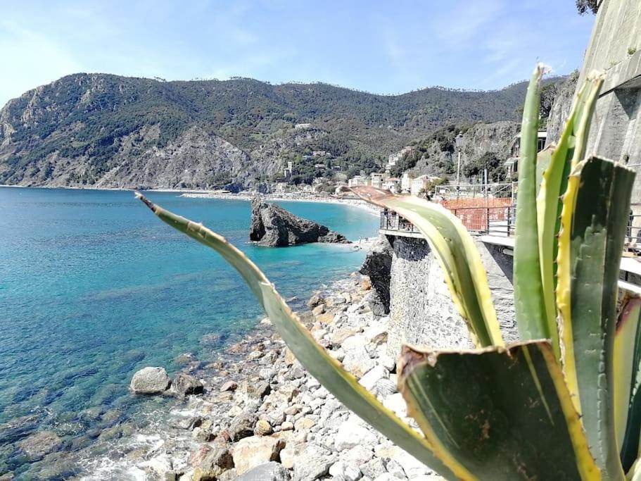 Nel Cuore Di Monterosso Cinque Terre Orto Di Ciack Monterosso al Mare Kültér fotó